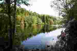 Cette photo a une résolution de 300 x 200 pixels et occupe 22 Ko Cette photo a une résolution de 300 x 200 pixels et occupe 22 Ko