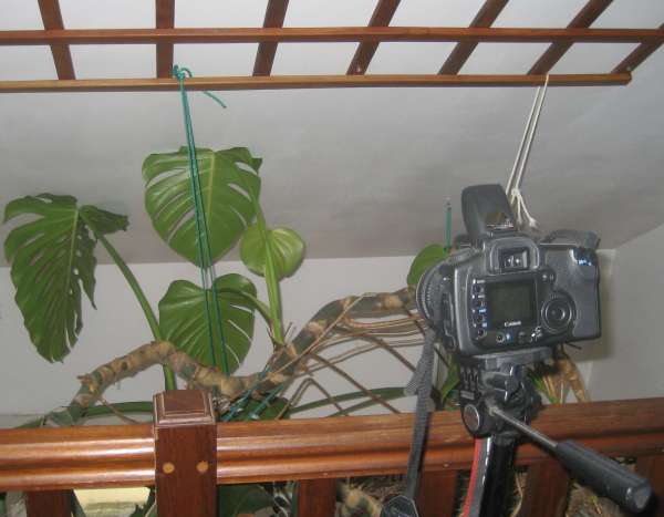 Canon EOS 20D